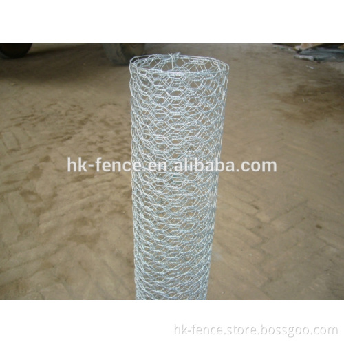 3/4" hole electro-galvanized hexagonal chicken wire mesh